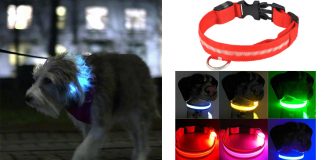 Collare SafeLight con luce LED per Cani: funziona davvero? Recensioni, Opinioni e dove acquistarlo