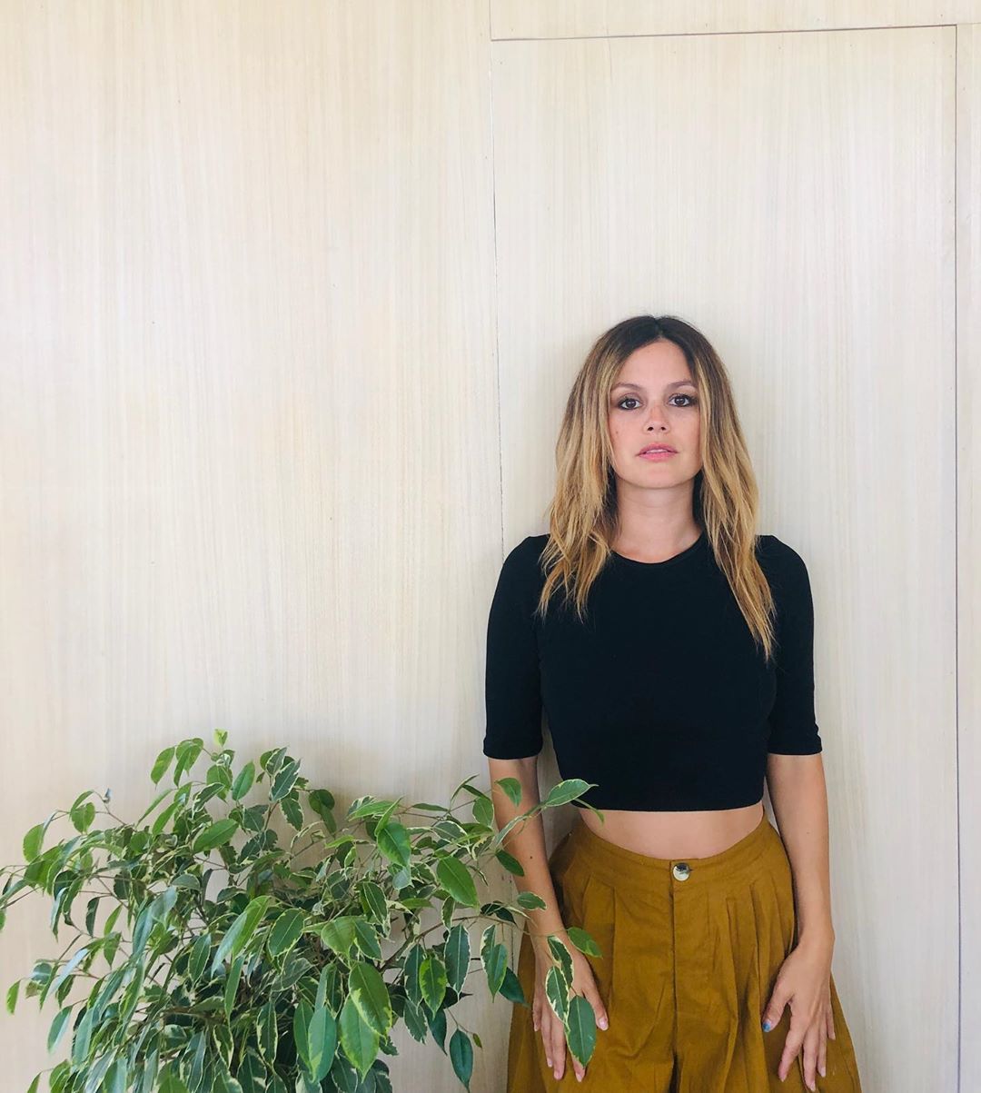 Rachel Bilson biografia: chi è, età, altezza, peso, figli, marito,  Instagram e vita privata - Spettegolando