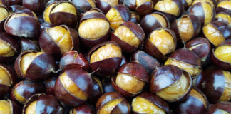 Come fare le Castagne al Microonde: cosa occorre e procedimento