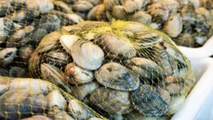 Come pulire e spurgare le vongole fresche e congelate: guida professionale e consigli utili