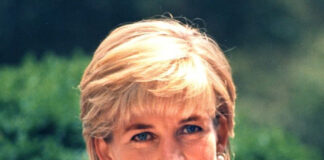 Chi era Diana Spencer (Lady D), riassunto: infanzia, famiglia, matrimonio, figli, incidente e causa morte