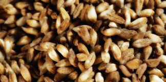 Come Cuocere e Condire il Farro per Piatti Squisitamente Sani e buoni