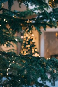 Chi ha Inventato l'Albero di Natale? Significato, Origini, Storia e Curiosità