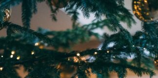 Chi ha Inventato l'Albero di Natale? Significato, Origini, Storia e Curiosità