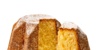 Come e Dove nasce il Pandoro? Origine, Storia e Curiosità