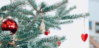 Perché l'albero di Natale si fa l' 8 Dicembre? Storia, origini, significato e tradizione