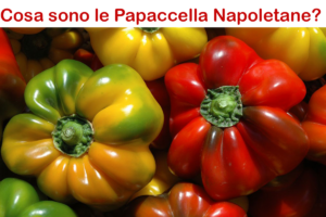 Cosa sono le Papaccella Napoletane? Come si mangiano, ricetta, conservazione e curiosità