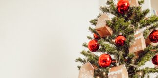 L'8 dicembre (festa dell'Immacolata Concezione), perché si festeggia? Storia, tradizione, significato e perché si fa l'albero di Natale