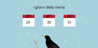 Quali sono i Giorni della Merla (Canderola)? Storia, origine, significato, proverbi, filastrocca e curiosità