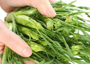 Come preparare le Puntarelle? Cosa sono, come si tagliano, ricette e idee sfiziose