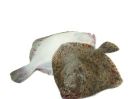Come Pulire e Cucinare il Pesce Rombo: Guida Completa