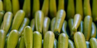 Guida Completa su Come Cucinare le Zucchine in Modo Diverso: Idee, Ricette e Consigli