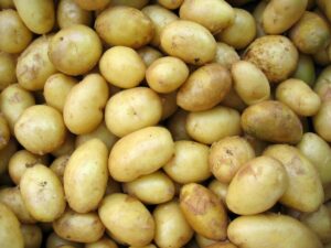 Come Conservare le Patate: Guida Completa