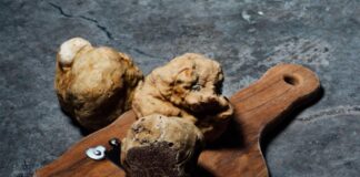 Come conservare il Tartufo fresco e non, guida completa