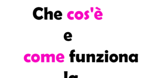 Che cos'è e come funziona la lava tappezzeria?