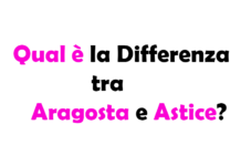 Qual è la Differenza tra Aragosta e Astice