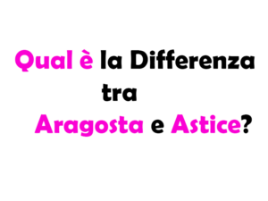 Qual è la Differenza tra Aragosta e Astice