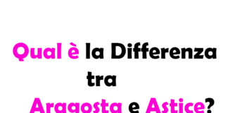 Qual è la Differenza tra Aragosta e Astice