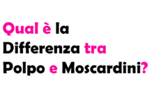 Qual è la Differenza tra Polpo e Moscardini?