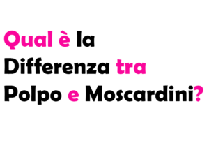 Qual è la Differenza tra Polpo e Moscardini?