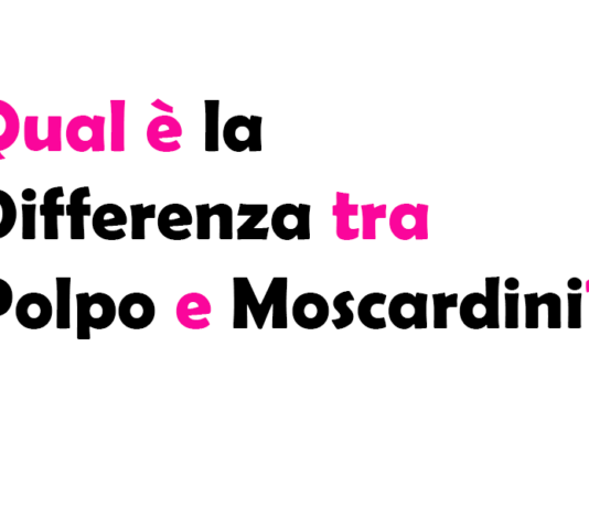 Qual è la Differenza tra Polpo e Moscardini?