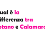 Qual è la Differenza tra Totano e Calamaro? Guida Completa