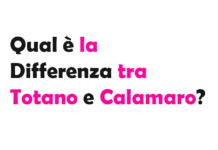 Qual è la Differenza tra Totano e Calamaro? Guida Completa