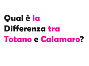 Qual è la Differenza tra Totano e Calamaro? Guida Completa