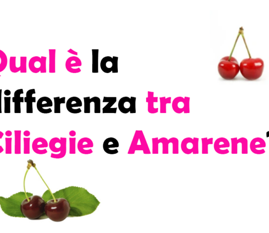 Qual è la differenza tra Ciliegie e Amarene? Guida completa