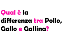 Qual è la differenza tra Pollo, Gallo e Gallina?