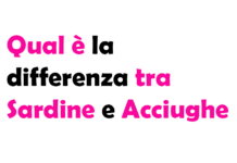 Qual è la differenza tra Sardine e Acciughe