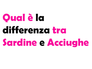 Qual è la differenza tra Sardine e Acciughe