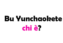 Bu Yunchaokete chi è?