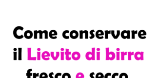 Come conservare il Lievito di birra fresco e secco