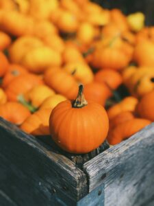 Come conservare la Zucca cruda e cotta, guida completa