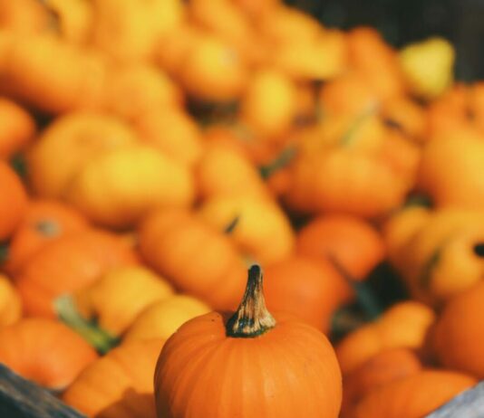 Come conservare la Zucca cruda e cotta, guida completa