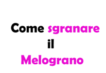 Come sgranare il Melograno