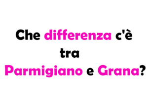 Che differenza c'è tra Parmigiano e Grana? Guida Completa