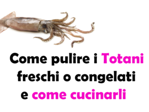 Come pulire i Totani freschi o congelati e come cucinarli, guida completa