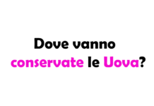 Dove vanno conservate le Uova? Guida alla conservazione sicura e duratura