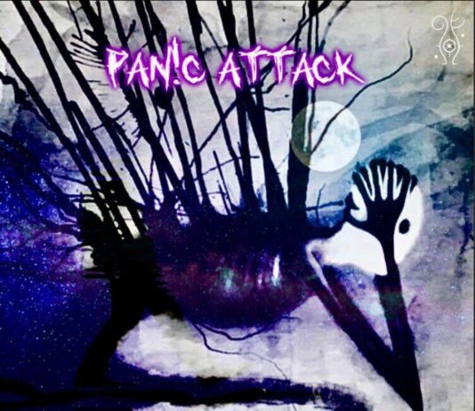 "Panic Attack" è il nuovo singolo dei Purple Shadows: significato del brano e dove ascoltarlo