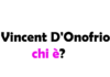 Vincent D'Onofrio chi è? Biografia, età, carriera, figli, moglie, Instagram e vita privata