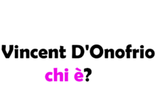 Vincent D'Onofrio chi è? Biografia, età, carriera, figli, moglie, Instagram e vita privata