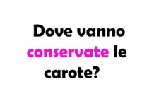 Dove vanno conservate le Carote? Guida Completa alla Conservazione