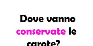 Dove vanno conservate le Carote? Guida Completa alla Conservazione