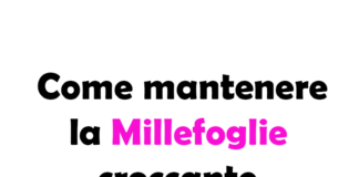 Come mantenere la Millefoglie Croccante: Guida Completa