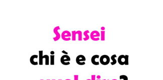 Sensei chi è e cosa vuol dire?