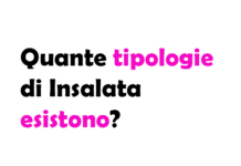 Quante tipologie di Insalata esistono?