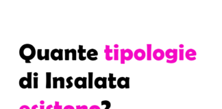 Quante tipologie di Insalata esistono?