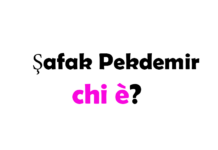 Şafak Pekdemir chi è? Biografia, età, altezza e peso, figli, marito, carriera, Instagram e vita privata